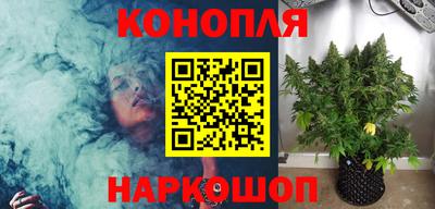PSILOCYBIN Нальчик