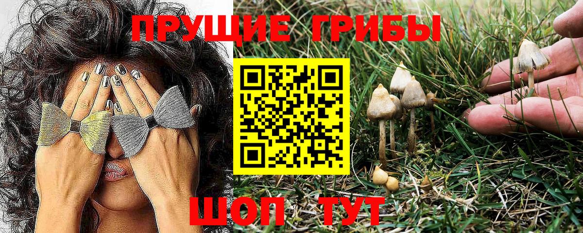 Вичуга  Галлюциногенные грибы ЛСД  Галлюциногенные грибы GOLDEN TEACHER  Вход с VPN 